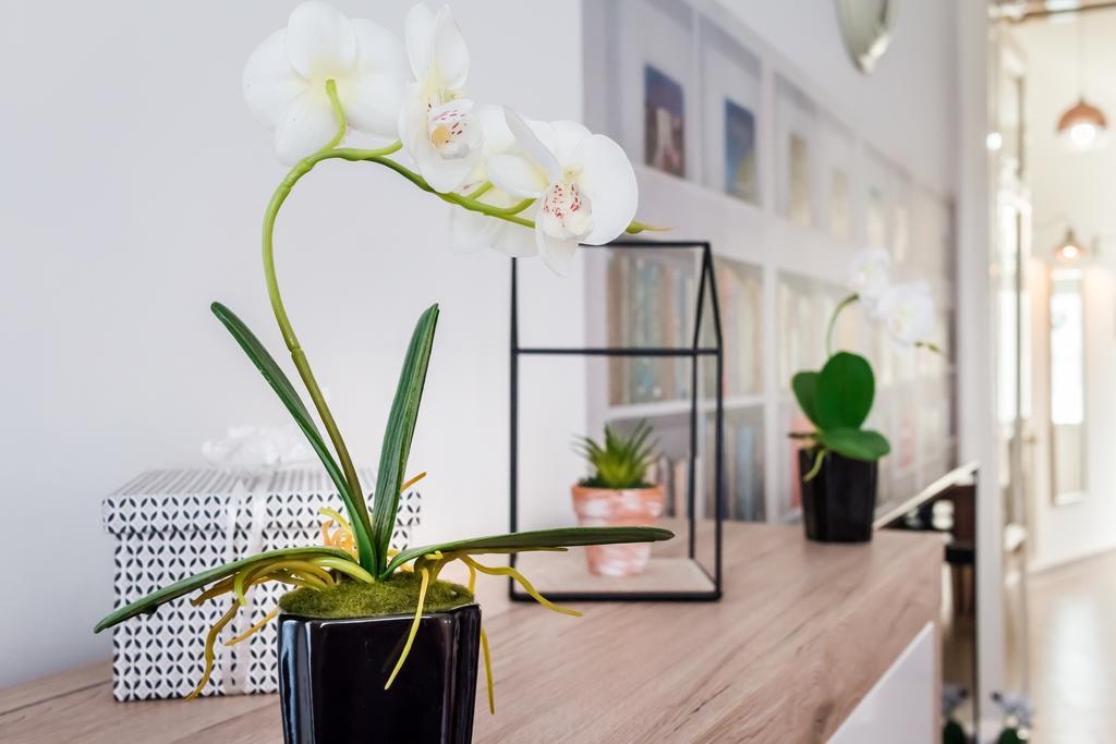 Bpr Purehome Apartment Budapest Esterno foto